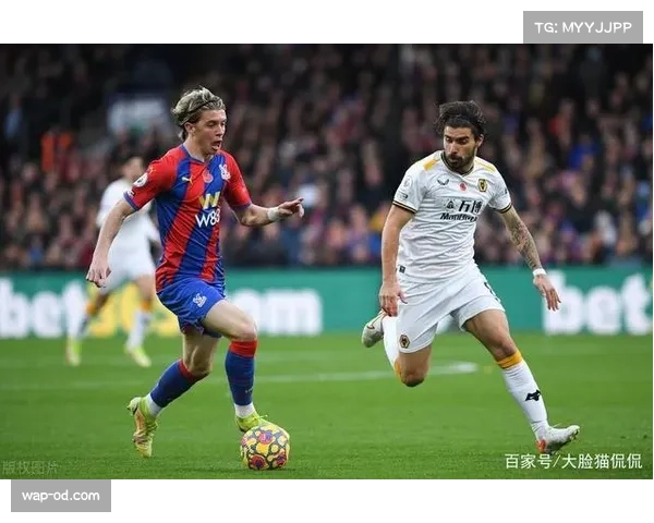 沃顿成绝对机会创造核心 水晶宫中场组织能力提升 沃顿成绝对机会创造核心 水晶宫中场组织能力提升