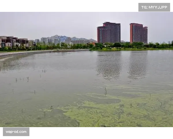 大连英博对青岛西海岸攻防数据,斯坦丘组织与防线协同效率 大连英博对青岛西海岸攻防数据,斯坦丘组织与防线协同效率